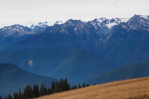 Olympic National Park