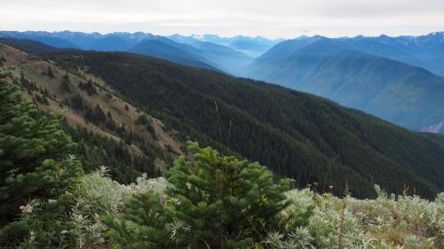 Olympic National Park