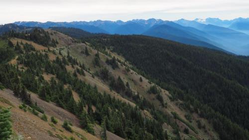 Olympic National Park