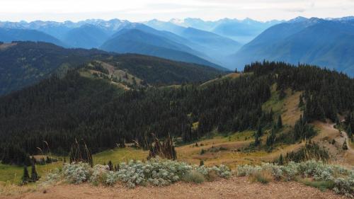 Olympic National Park