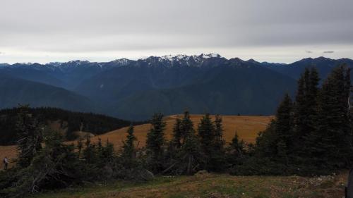 Olympic National Park