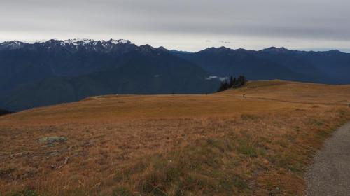 Olympic National Park