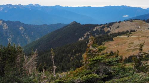 Olympic National Park