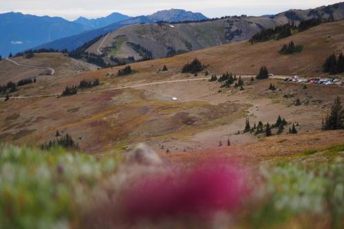 Olympic National Park