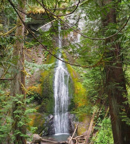 Olympic National Park